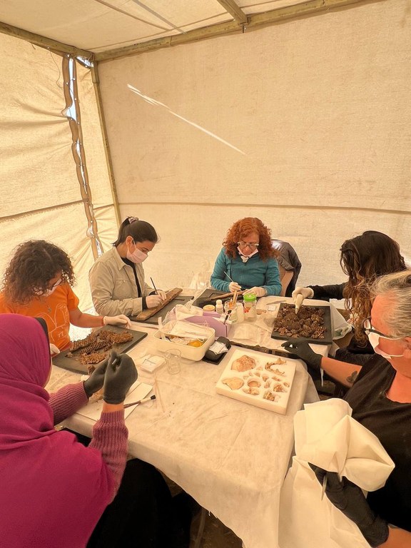 Equipo Conservación. Trabajo sobre hallazgos (1).jpeg